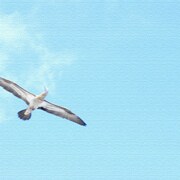 mur-0010 [うみカメラマン「むらいさち」のファブリックパネル 青空]
