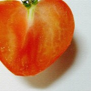 野菜モチーフのファブリック pho-0003