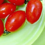 トマトのインテリアパネル pho-0006