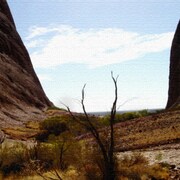 荒野の風景写真を使ったインテリアパネル pho-0025