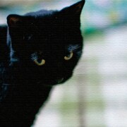 壁掛けインテリアならファブリックパネル 猫 pho-0030