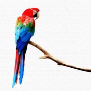 壁掛けインテリアにファブリックパネル インコ pho-0046