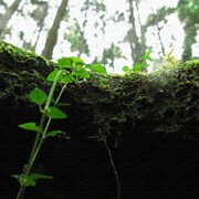 父に日ギフトに風景写真のファブリックパネル rsb-0008