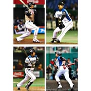 BBM北海道日本ハムファイターズ2013
