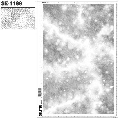 スクリーントーン デリータースクリーン カケアミ効果 SE-1189