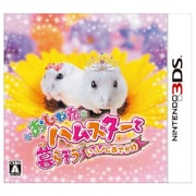 おしゃれハムスターと暮らそう いっしょにおでかけ [3DSソフト]