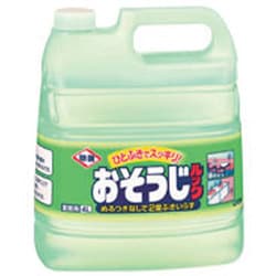 おそうじルック [4L]