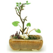 盆栽ミニチュア THE BONSAI 角鉢寄せ植え 茶 [1/12スケール ミニチュアモデル]