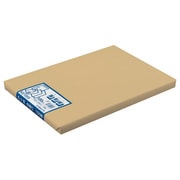 画用紙 中厚口・九ツ切 100枚 KE1059