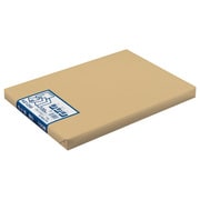 画用紙 厚口・九ツ切 100枚 KE1259