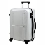 CUBing（キュービング） 旅行日数目安：2～3泊 46L TSAロック搭載 機内持ち込み可 カーボンホワイト B1257T-50