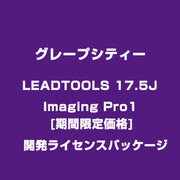 LEADTOOLS 17.5J Imaging Pro[期間限定価格] 1開発Lパッケージ [ライセンスソフト]