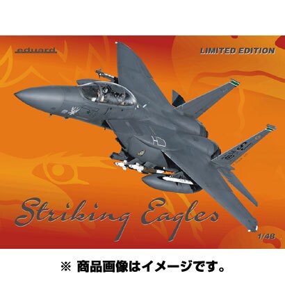1/48 1177 F-15E 限定品