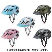 211-01094 [WRJ-PGN チャイルドヘルメットパイレーツグリーン]