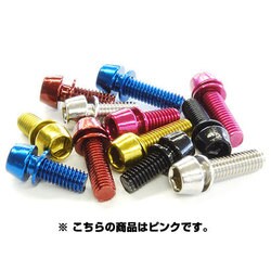TL-109F-620-PI　ステンレスカラーボルト(M6*20)ピンク 108-00184