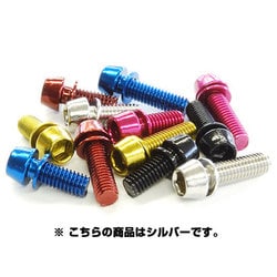 TL-109F-620-SL　ステンレスカラーボルト(M6*20)シルバー 108-00185