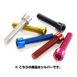 TL-105B-630-SL　ステンレスカラーボルト(M6*30)シルバー 108-00195