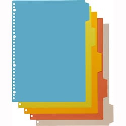 PPカラーインデックス CI-53PC 5色5山 13614