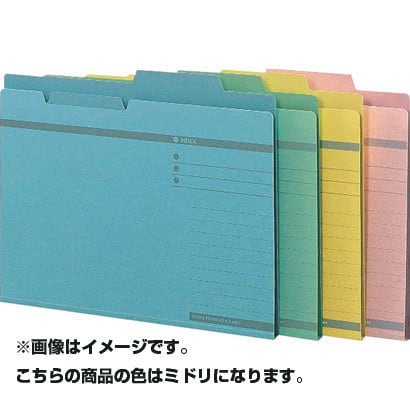 13237 ダブルフオルダ- 61 ミドリ