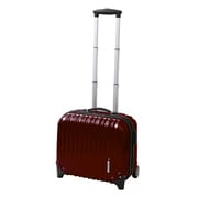Hard Luggage(ハードラゲッジ) A1 旅行日数目安:1~2泊 22.5L TSAロック搭載 機内持ち込み可 ブラック EBC-02-WR
