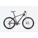 26 HE 51 Carbon/red ALPINA HT-590 060203