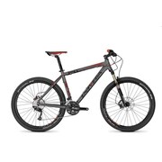 26 HE 40 grey Matt ALPINA HT-570 060221