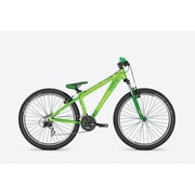 26 HE 50 Green glossy RAM XF-900 069064