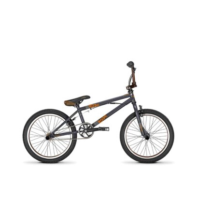 20 HE 24 Grey RAM BX Count 069111
