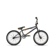 20 HE 24 Grey RAM BX Count 069111