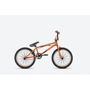 20 HE 24 Org RAM BX Earl 069004