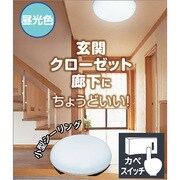 LED小型シーリングライト (4.5畳用） 昼光色 WY-CLGF-D