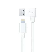 iPhone5/iPad対応充電&同期ライトニングケーブル(L字型) Power&Sync 0.3m ホワイト RK-ACF41W