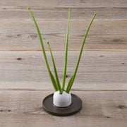 mottai nice(モッタイナイス) ペットボトル 袋干し FE0005