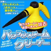 パワフルスチームクリーナー RJ664 YE