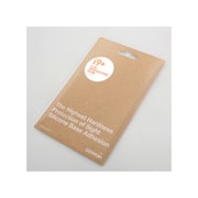 IAUDIO 9+用 保護フィルム I9+-PROTECTION FILM
