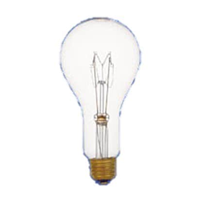 白熱電球 耐振電球 E26口金 110V 200W 80mm径 TAI110V200W
