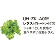 UH-ZKLA01E [Green Farm用 水耕栽培種子キット レタス(グレートレイクス)]