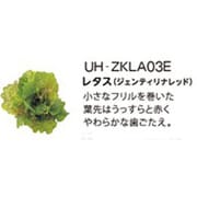 UH-ZKLA03E [Green Farm用 水耕栽培種子キット レタス(ジェンティリナレッド)]