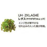 UH-ZKLA04E [Green Farm用 水耕栽培種子キット レタス(サラダボウルレッド)]