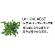 UH-ZKLA05E [Green Farm用 水耕栽培種子キット オークリーフレタス]
