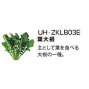 UH-ZKLB03E [Green Farm用 水耕栽培種子キット 葉大根]