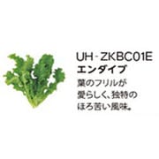 UH-ZKBC01E [Green Farm用 水耕栽培種子キット エンダイブ]