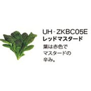 UH-ZKBC05E [Green Farm用 水耕栽培種子キット レッドマスタード]