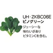 UH-ZKBC06E [Green Farm用 水耕栽培種子キット ピノグリーン]