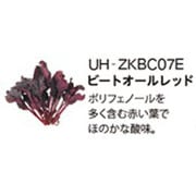 UH-ZKBC07E [Green Farm用 水耕栽培種子キット ビートオールレッド]