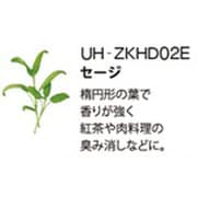 UH-ZKHD02E [Green Farm用 水耕栽培種子キット セージ]