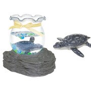 AH9017AA [おうちで飼おう！海の小さな仲間たち2 かめ]