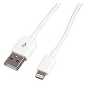 Lightning-USBケーブル 2m EC-I5LTUS2