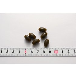 ヨドバシ.com - 小林製薬 小林製薬の栄養補助食品 EPA DHA α