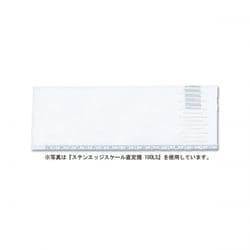 ステンエッジスケール直定規 60cm 60LS